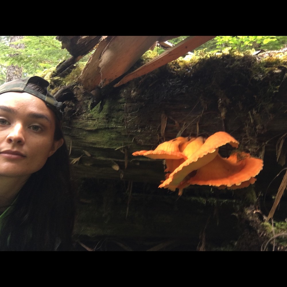 Rebekka🫂👩🏻‍🔬🧚🏻🪶🦩